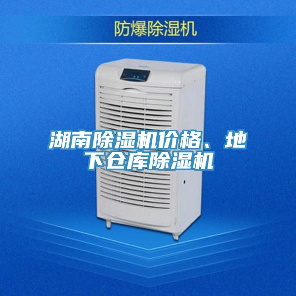 湖南泡芙短视频APP官方下载地址价格、地下仓库泡芙短视频APP官方下载地址