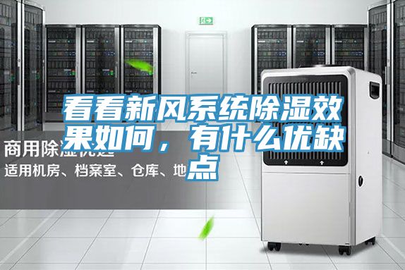 看看新风系统除湿效果如何，有什么优缺点