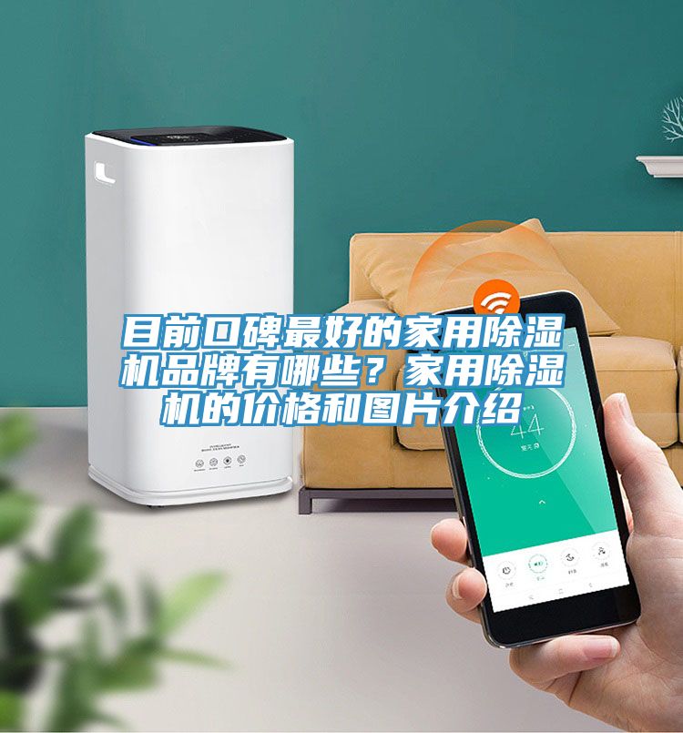 目前口碑最好的家用泡芙短视频APP官方下载地址品牌有哪些？家用泡芙短视频APP官方下载地址的价格和图片介绍