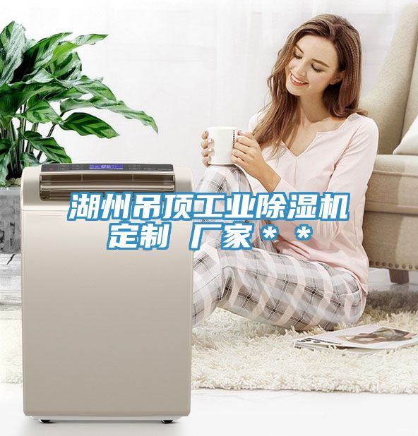 湖州吊顶工业泡芙短视频APP官方下载地址定制 厂家＊＊