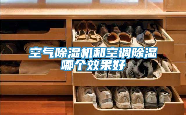 空气泡芙短视频APP官方下载地址和空调除湿哪个效果好