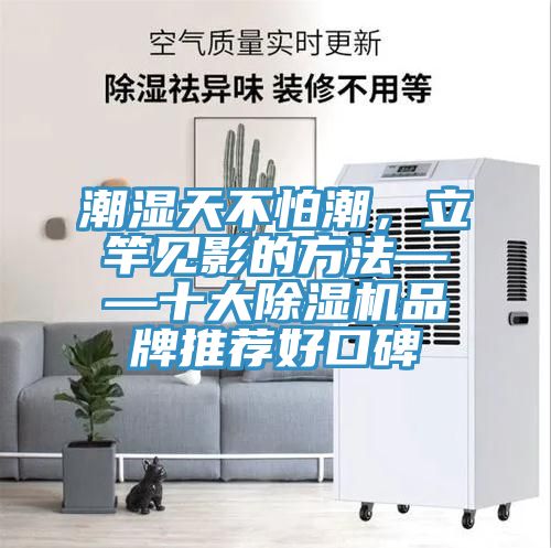 潮湿天不怕潮，立竿见影的方法——十大泡芙短视频APP官方下载地址品牌推荐好口碑