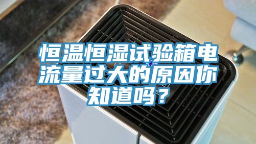 恒温恒湿试验箱电流量过大的原因你知道吗？