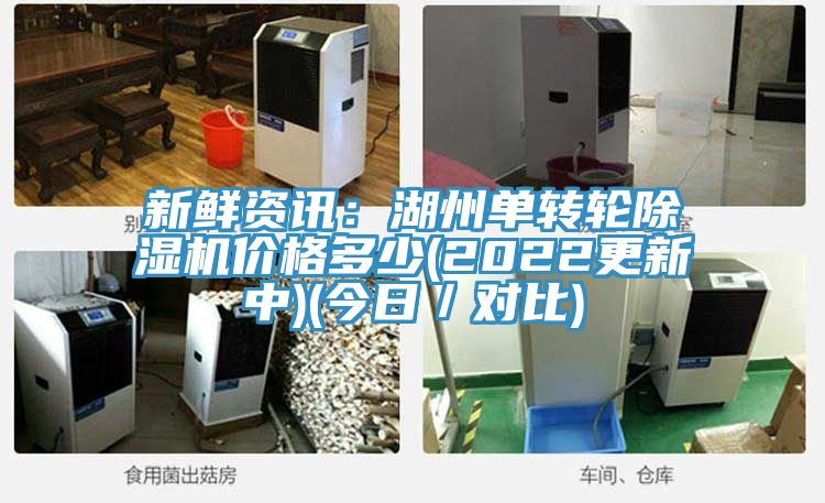 新鲜资讯：湖州单转轮泡芙短视频APP官方下载地址价格多少(2022更新中)(今日／对比)