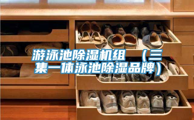 游泳池泡芙短视频APP官方下载地址组 （三集一体泳池除湿品牌）