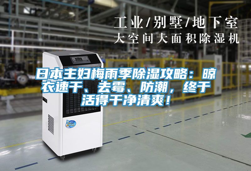 日本主妇梅雨季除湿攻略：晾衣速干、去霉、防潮，终于活得干净清爽！