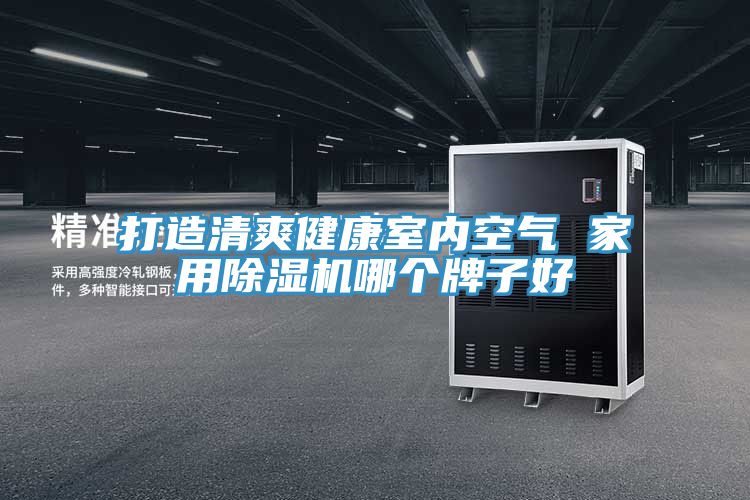 打造清爽健康室内空气 家用泡芙短视频APP官方下载地址哪个牌子好