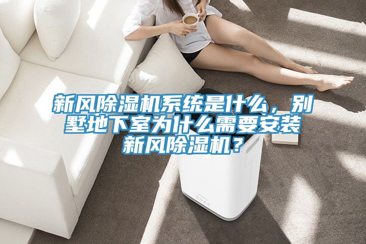 新风泡芙短视频APP官方下载地址系统是什么，别墅地下室为什么需要安装新风泡芙短视频APP官方下载地址？