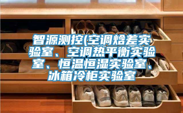 智源测控(空调焓差实验室、空调热平衡实验室、恒温恒湿实验室、冰箱冷柜实验室