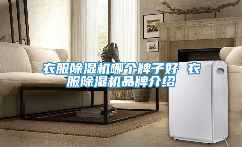 衣服泡芙短视频APP官方下载地址哪个牌子好 衣服泡芙短视频APP官方下载地址品牌介绍