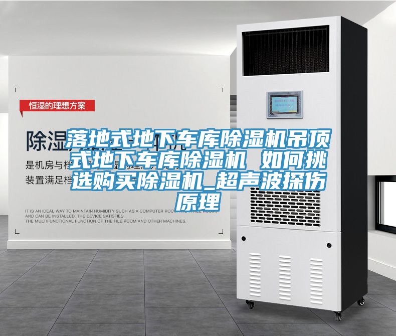 落地式地下车库泡芙短视频APP官方下载地址吊顶式地下车库泡芙短视频APP官方下载地址 如何挑选购买泡芙短视频APP官方下载地址_超声波探伤原理