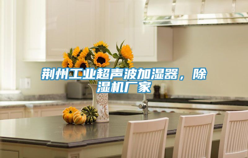 荆州工业超声波加湿器，泡芙短视频APP官方下载地址厂家