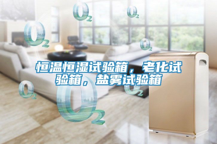 恒温恒湿试验箱，老化试验箱，盐雾试验箱