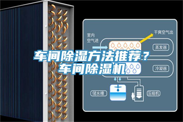 车间除湿方法推荐？车间泡芙短视频APP官方下载地址