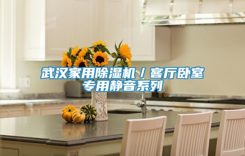 武汉家用泡芙短视频APP官方下载地址／客厅卧室专用静音系列