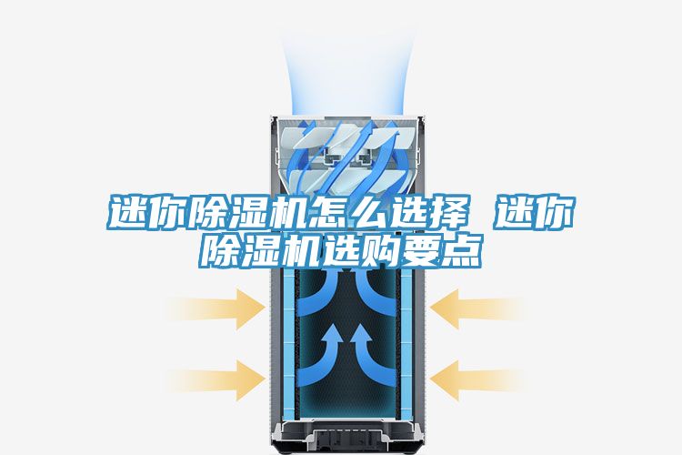 迷你泡芙短视频APP官方下载地址怎么选择 迷你泡芙短视频APP官方下载地址选购要点