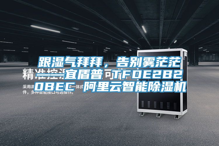 跟湿气拜拜，告别雾茫茫——宜盾普 TFDE2B20BEC 阿里云智能泡芙短视频APP官方下载地址