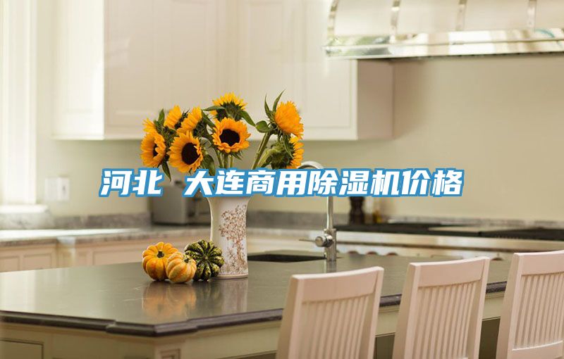 河北 大连商用泡芙短视频APP官方下载地址价格