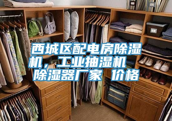 西城区配电房泡芙短视频APP官方下载地址，工业抽湿机  除湿器厂家 价格