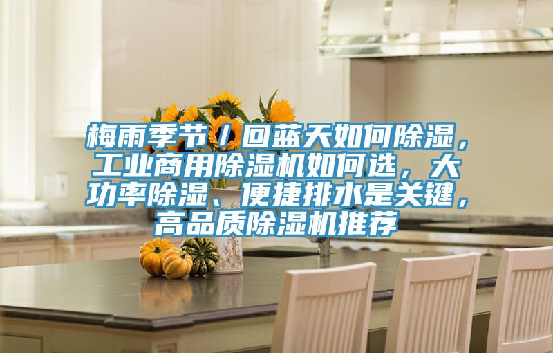 梅雨季节／回蓝天如何除湿，工业商用泡芙短视频APP官方下载地址如何选，大功率除湿、便捷排水是关键，高品质泡芙短视频APP官方下载地址推荐
