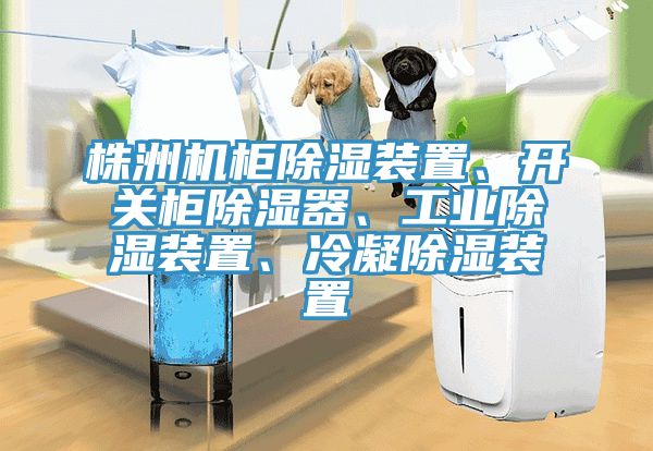 株洲机柜除湿装置、开关柜除湿器、工业除湿装置、冷凝除湿装置