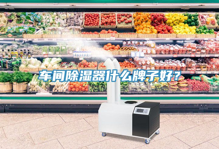 车间除湿器什么牌子好？