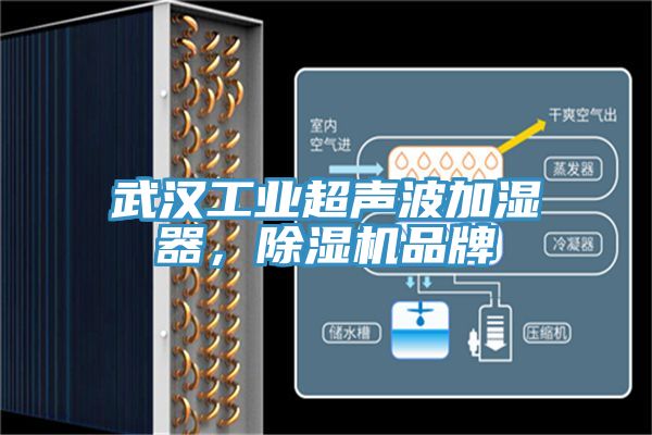 武汉工业超声波加湿器，泡芙短视频APP官方下载地址品牌