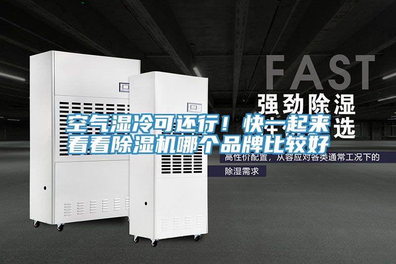 空气湿冷可还行！快一起来看看泡芙短视频APP官方下载地址哪个品牌比较好