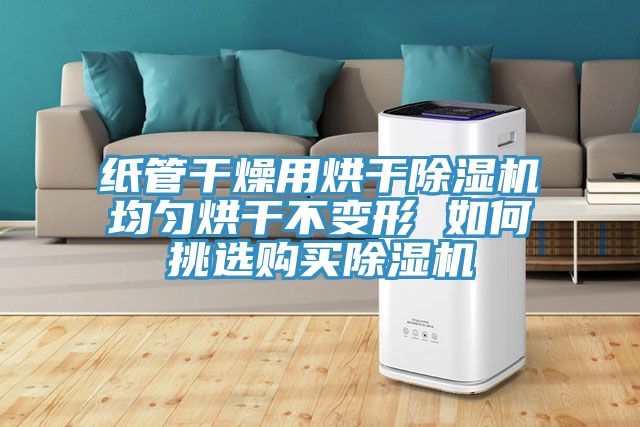 纸管干燥用烘干泡芙短视频APP官方下载地址均匀烘干不变形 如何挑选购买泡芙短视频APP官方下载地址