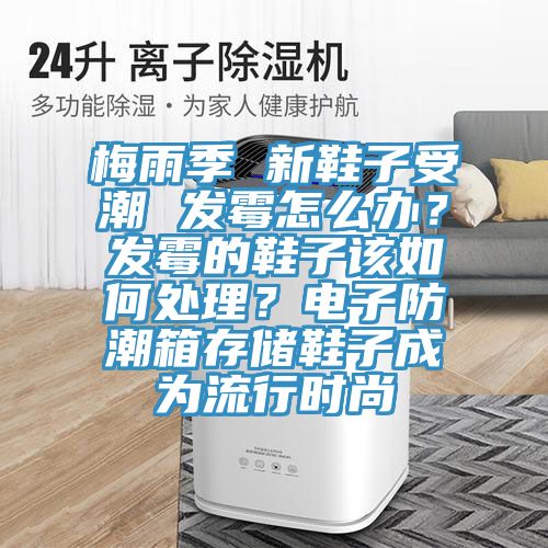 梅雨季 新鞋子受潮 发霉怎么办？发霉的鞋子该如何处理？电子防潮箱存储鞋子成为流行时尚