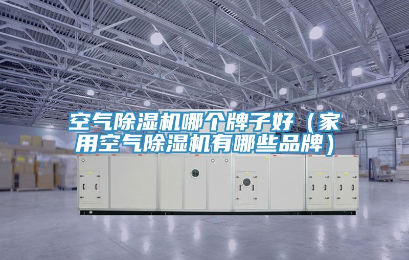 空气泡芙短视频APP官方下载地址哪个牌子好（家用空气泡芙短视频APP官方下载地址有哪些品牌）