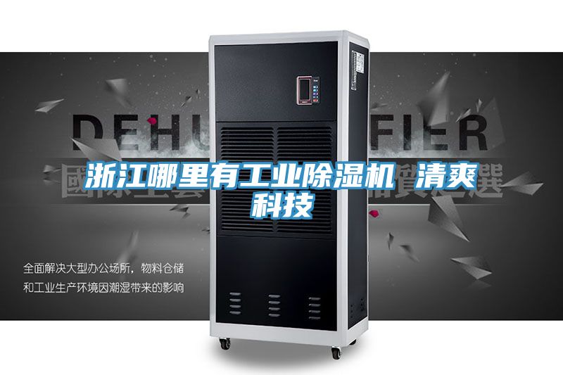 浙江哪里有工业泡芙短视频APP官方下载地址 清爽科技