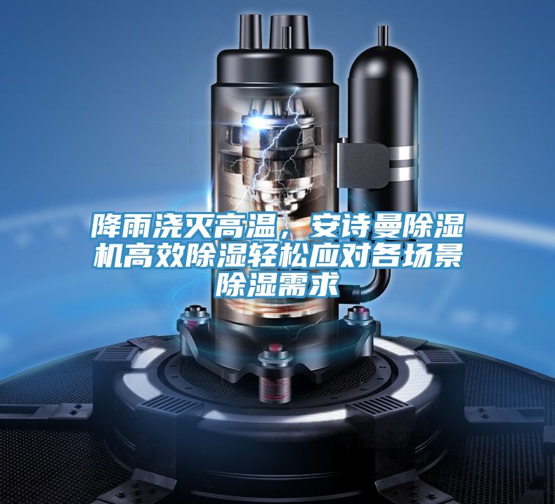 降雨浇灭高温，泡芙短视频APP安装泡芙短视频APP官方下载地址高效除湿轻松应对各场景除湿需求