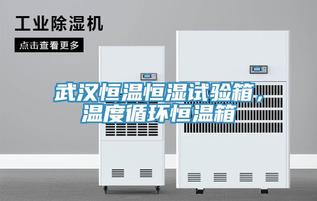 武汉恒温恒湿试验箱，温度循环恒温箱