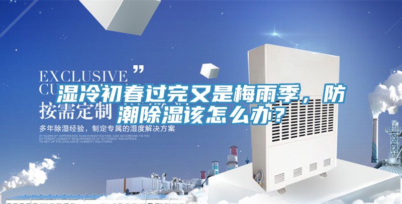 湿冷初春过完又是梅雨季，防潮除湿该怎么办？