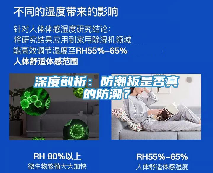 深度剖析：防潮板是否真的防潮？
