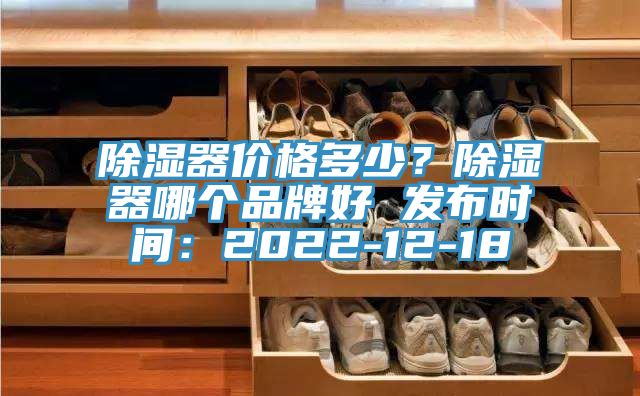 除湿器价格多少？除湿器哪个品牌好 发布时间：2022-12-18