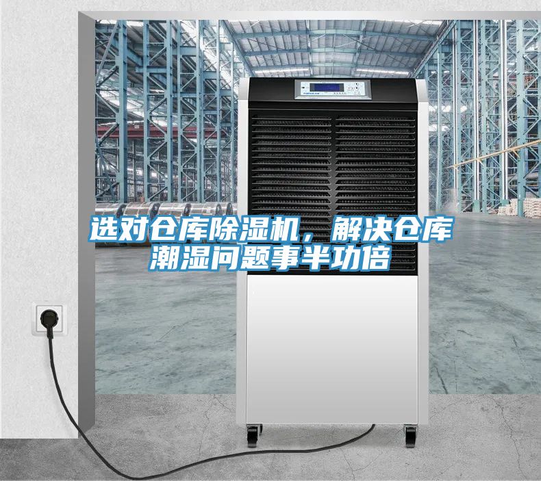 选对仓库泡芙短视频APP官方下载地址，解决仓库潮湿问题事半功倍