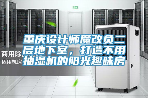 重庆设计师魔改负二层地下室，打造不用抽湿机的阳光趣味房
