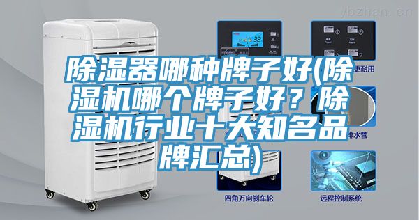 除湿器哪种牌子好(泡芙短视频APP官方下载地址哪个牌子好？泡芙短视频APP官方下载地址行业十大知名品牌汇总)
