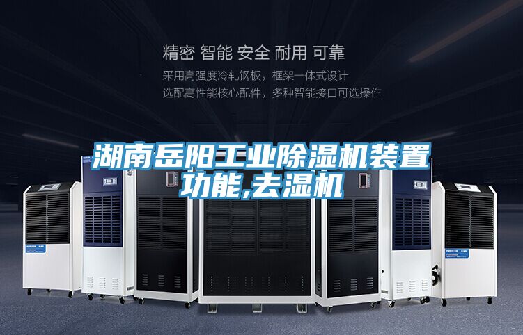 湖南岳阳工业泡芙短视频APP官方下载地址装置功能,去湿机