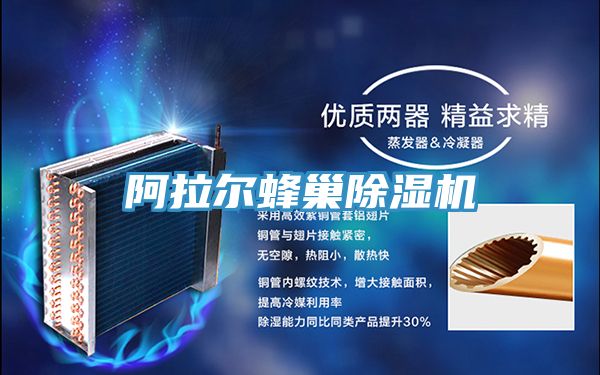 阿拉尔蜂巢泡芙短视频APP官方下载地址