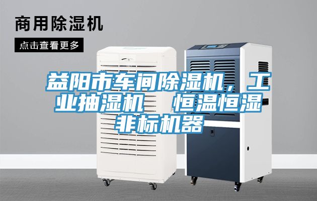 益阳市车间泡芙短视频APP官方下载地址，工业抽湿机  恒温恒湿非标机器