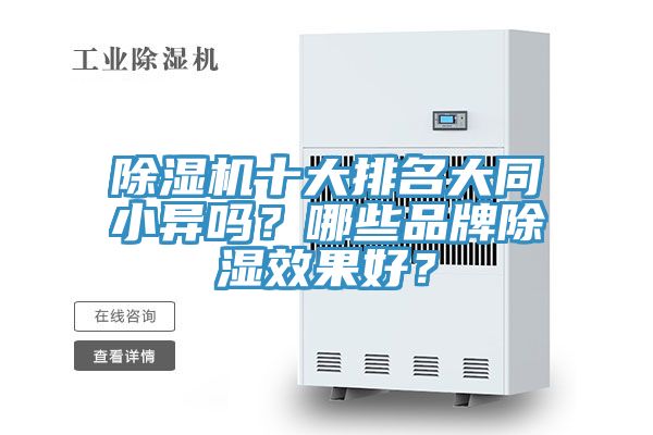 泡芙短视频APP官方下载地址十大排名大同小异吗？哪些品牌除湿效果好？