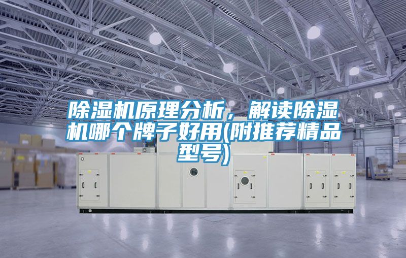 泡芙短视频APP官方下载地址原理分析，解读泡芙短视频APP官方下载地址哪个牌子好用(附推荐精品型号)