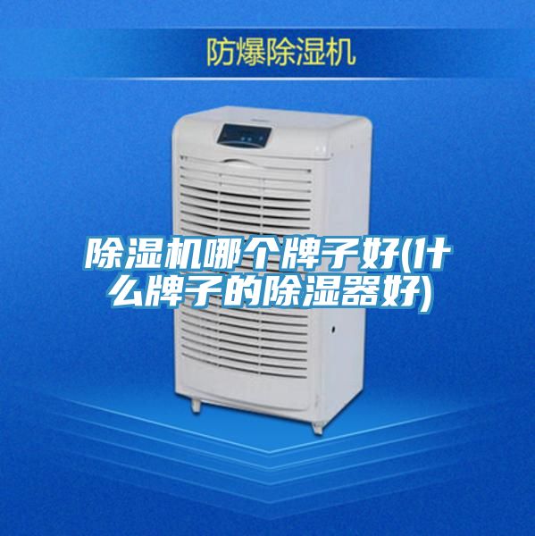 泡芙短视频APP官方下载地址哪个牌子好(什么牌子的除湿器好)