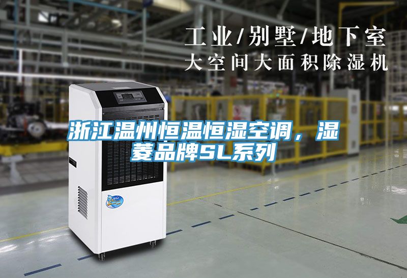 浙江温州恒温恒湿空调，湿菱品牌SL系列