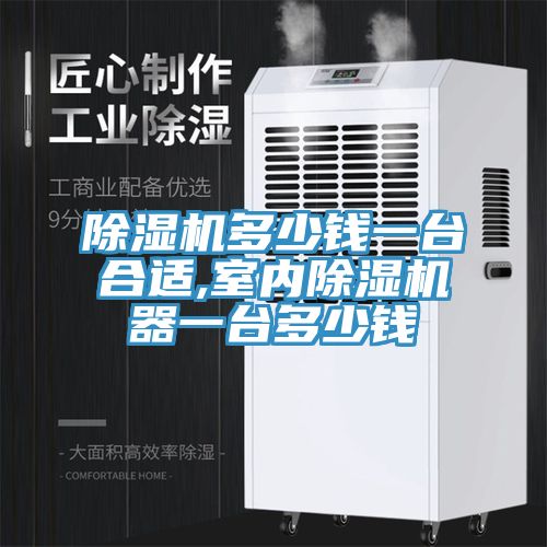 泡芙短视频APP官方下载地址多少钱一台合适,室内泡芙短视频APP官方下载地址器一台多少钱