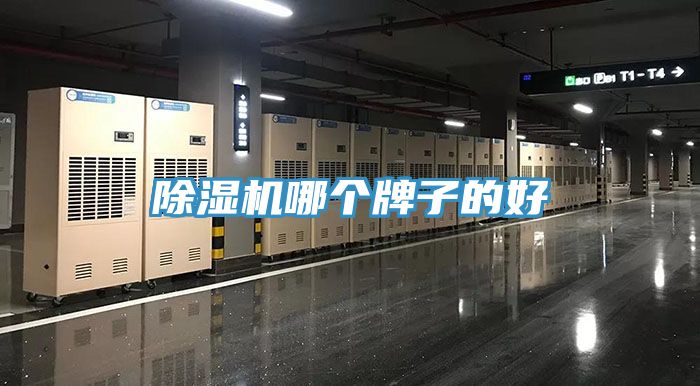 泡芙短视频APP官方下载地址哪个牌子的好