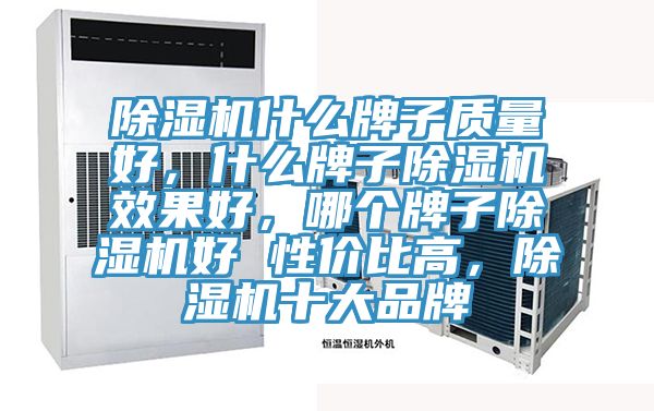 泡芙短视频APP官方下载地址什么牌子质量好，什么牌子泡芙短视频APP官方下载地址效果好，哪个牌子泡芙短视频APP官方下载地址好 性价比高，泡芙短视频APP官方下载地址十大品牌